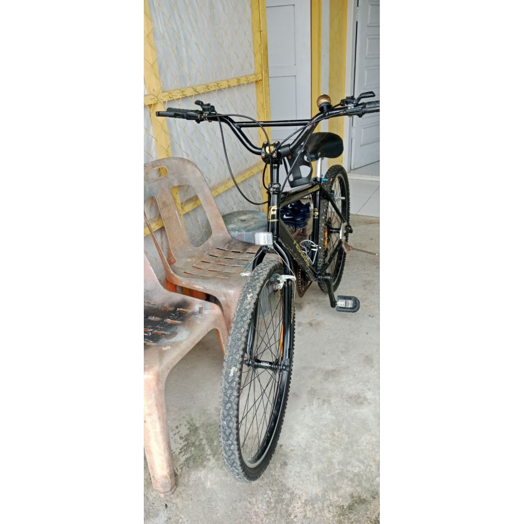 federal torino terain