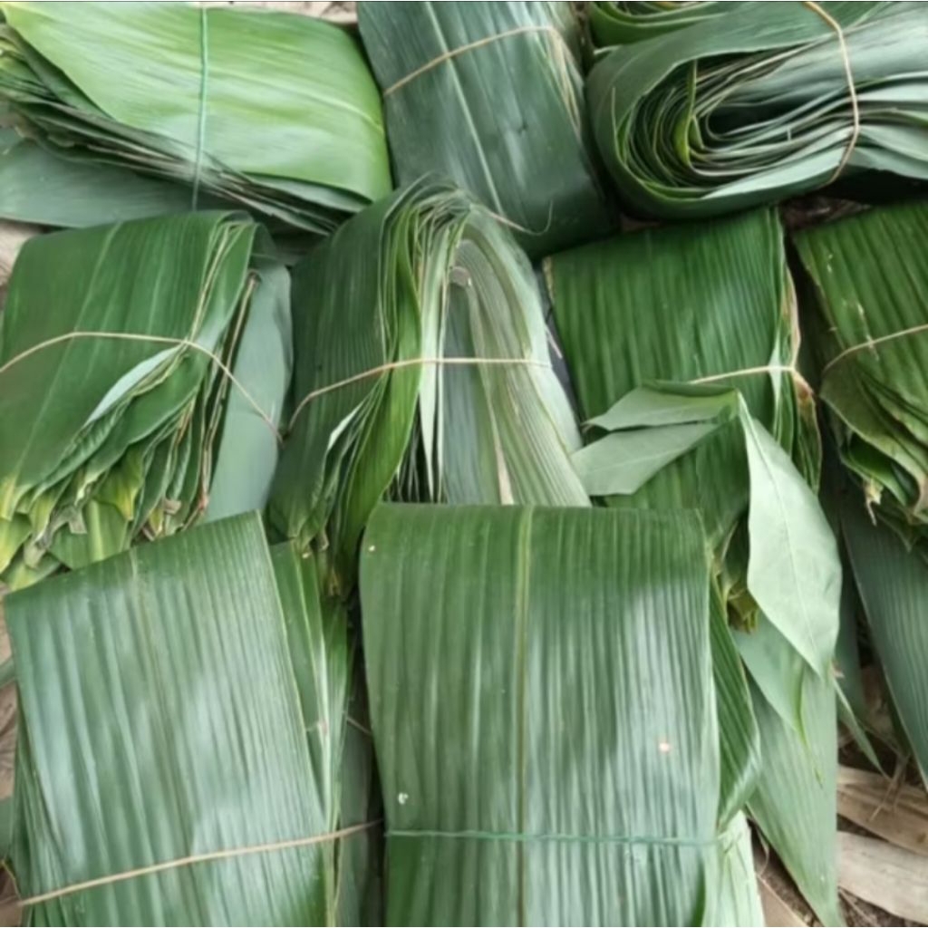 

Daun bambu jumbo segar Redi bungkus Bakcang alami 100 Lembar