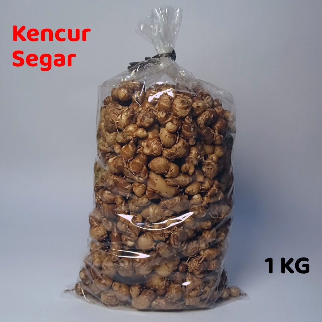 

Kencur Segar 1kg