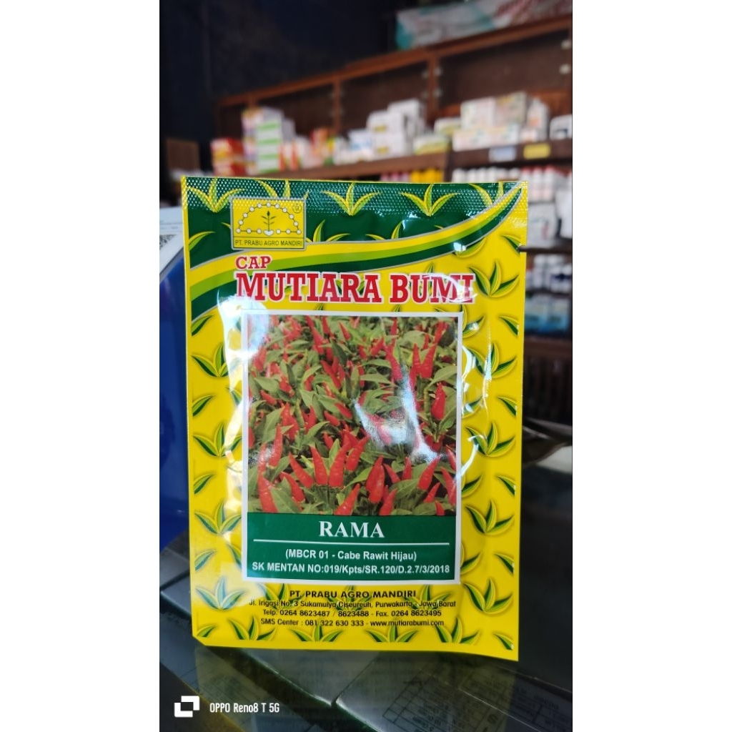 

cabai rawit ijo RAMA MUTIARA BUMI
