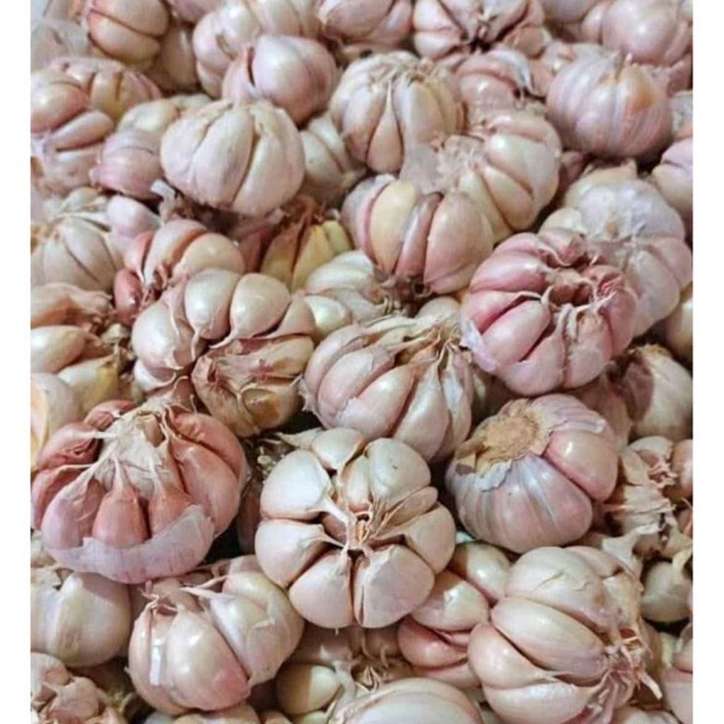 

BAWANG PUTIH pack/100 gr