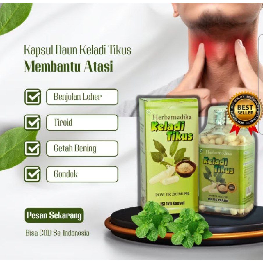 

Kapsul Daun Keladi Tikus Herbamedika Asli | 120 Kapsul | BPOM | Obat Tiroid, Gondok, Getah Bening