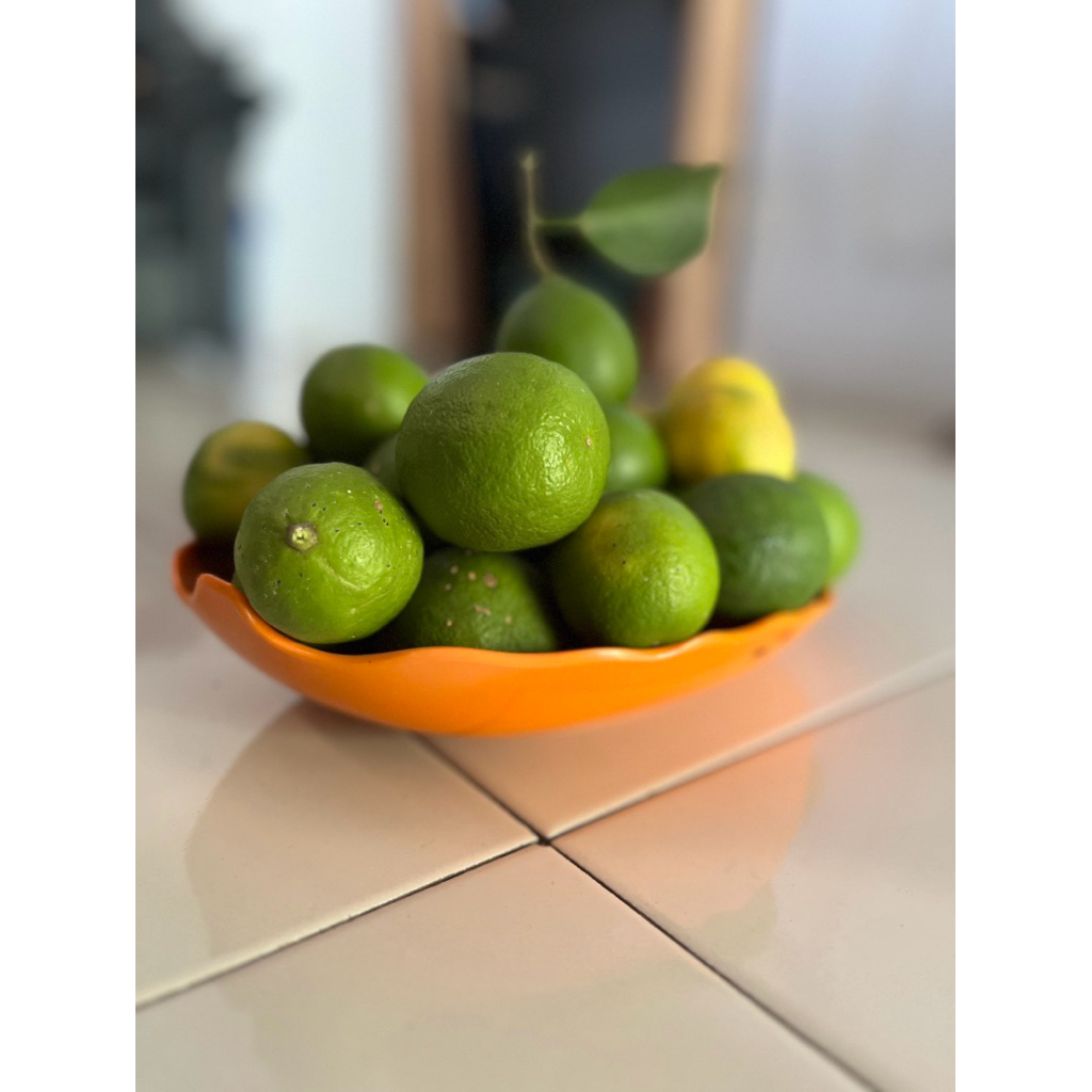 

Jeruk Nipis Segar Asli | Buah Jeruk Nipis Fresh untuk Masakan, Minuman & Herbal