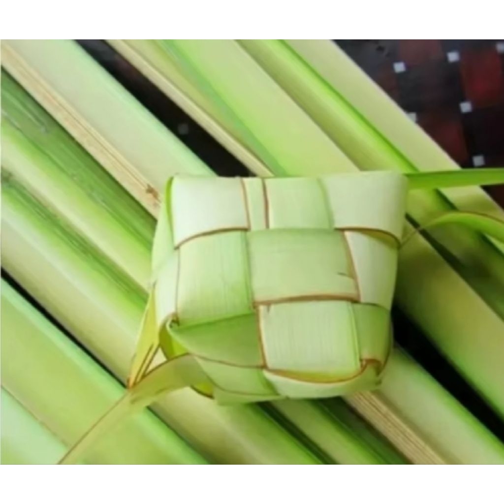 

janur per/daun kelapa muda per 10 lembar