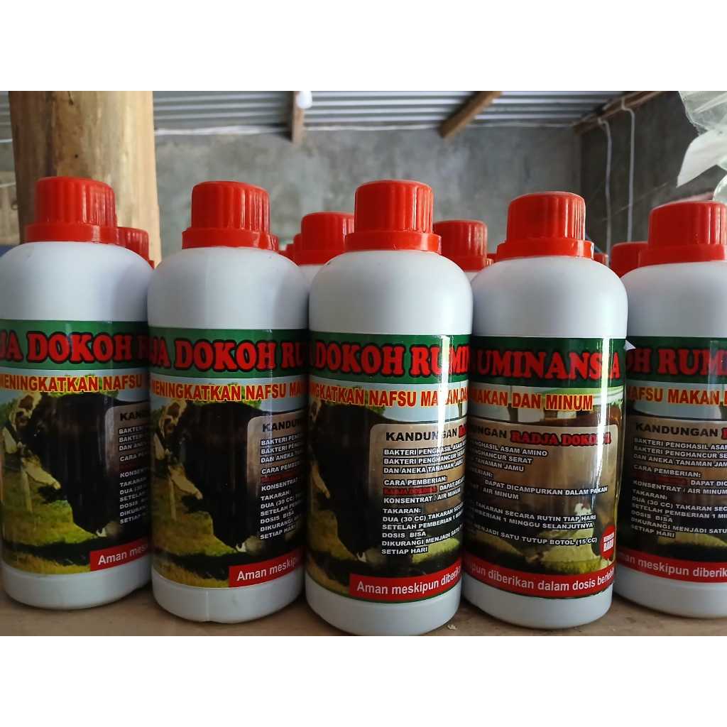 

Penambah Nafsu Makan RADJA DOKOH / Jamu Raja Dokoh