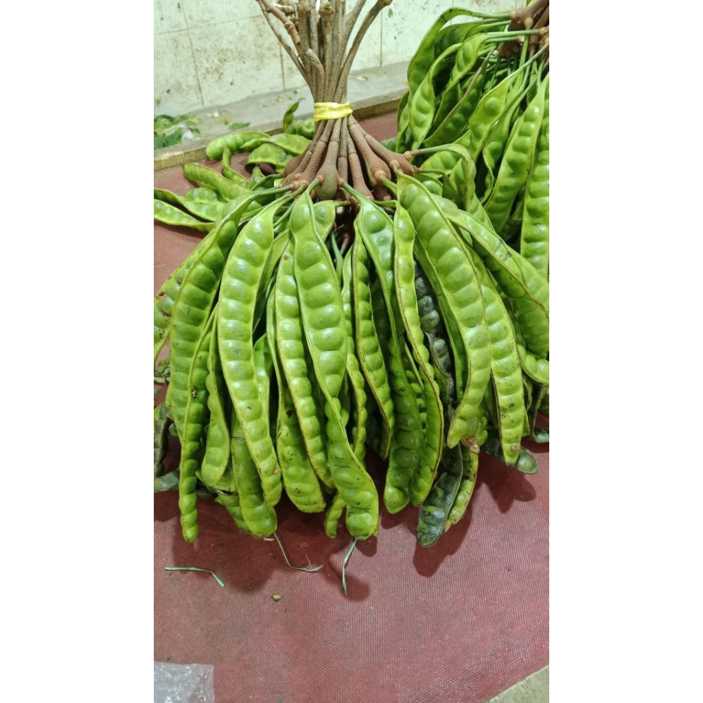 

PETE PADI MURAH MERIAH KWALITAS SUPER