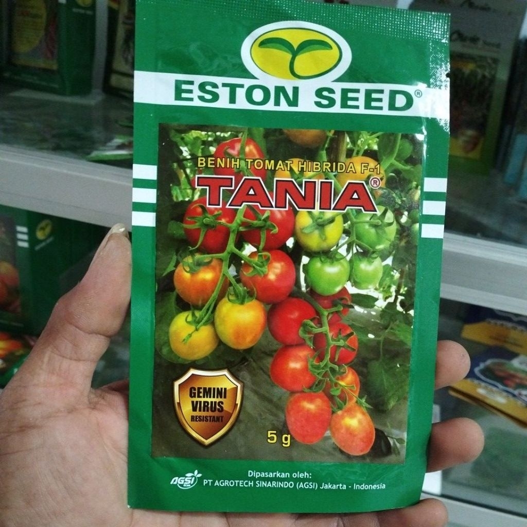 

benih tomat TANIA F1 tomat hibrida by eston seed