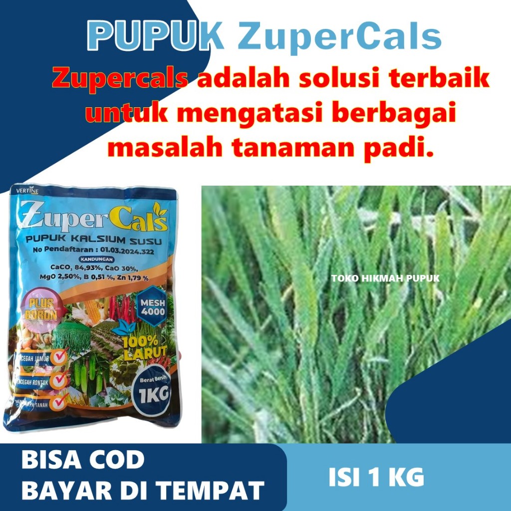 Zupercals Pupuk Cair Padi Atasi Daun Kuning, Kerdil Padi, Kresek & Hawar Daun – Nutrisi Lengkap Untu