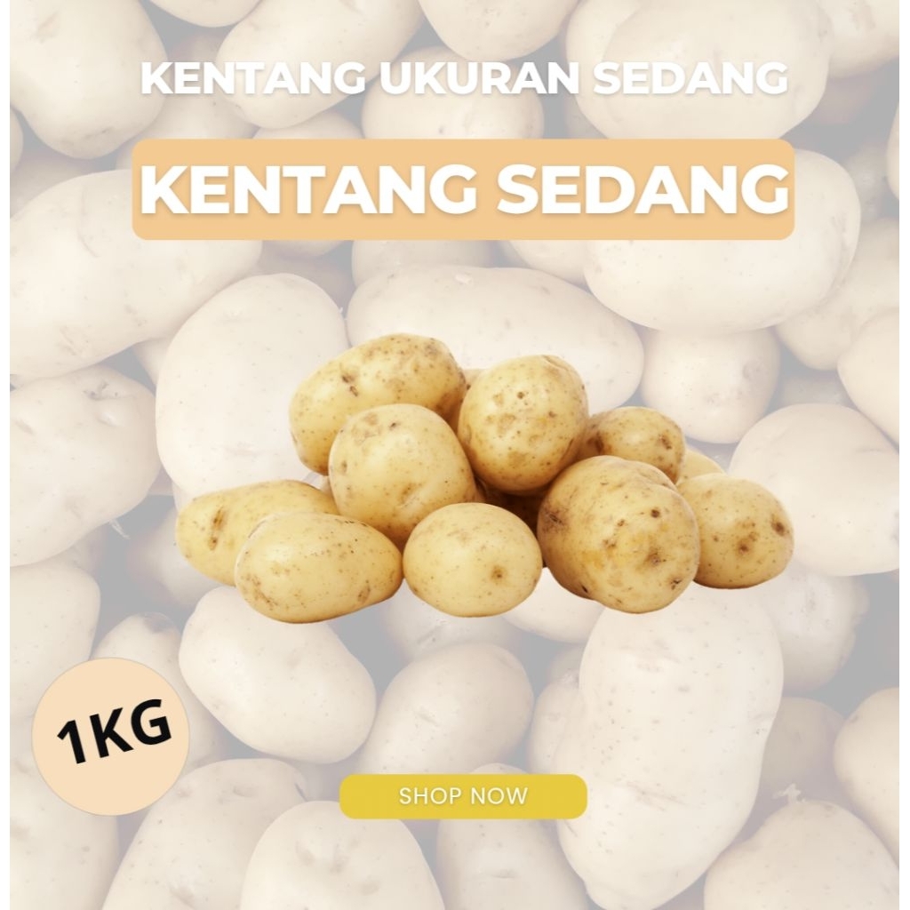 

Kentang ukuran DN 1KG / ukuran sedang fresh