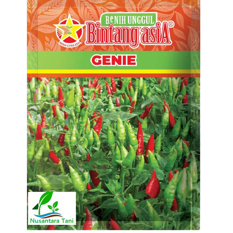 Benih Cabe Bintang Asia / Bibit Cabe Bintang Asia