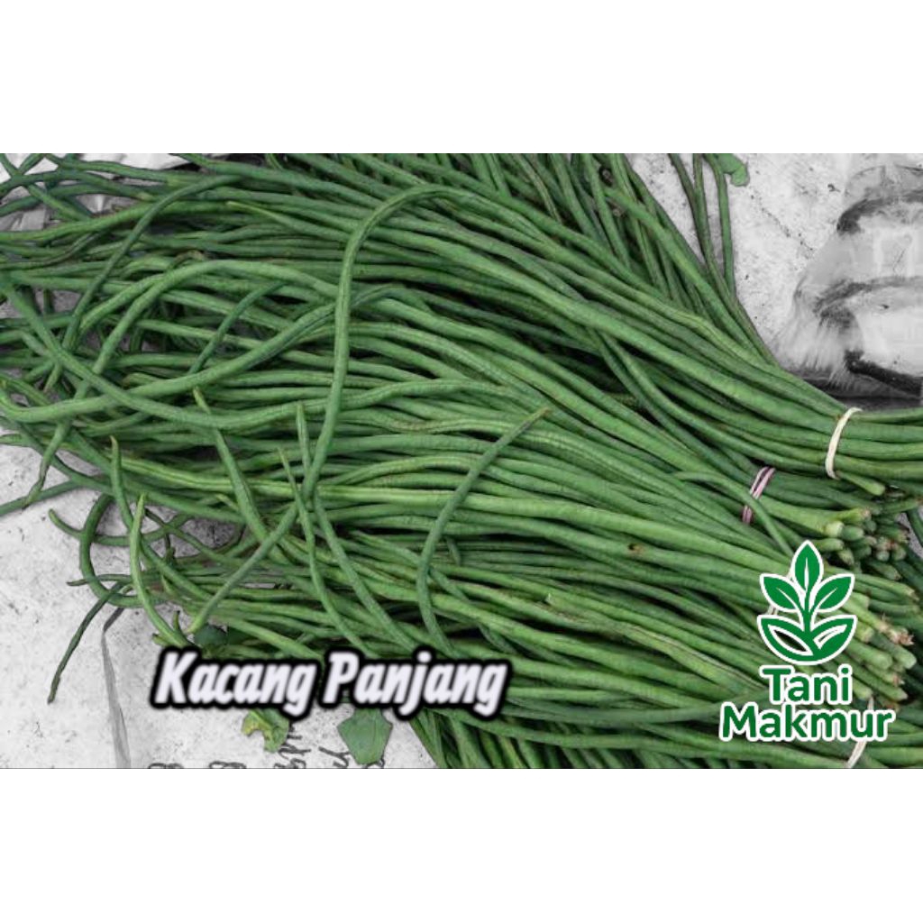 

Benih Sayuran Kacang Panjang (Vigna unguiculata) kemasan Seribuan