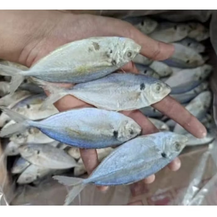 

IKAN ASIN SELAR 500GRAM