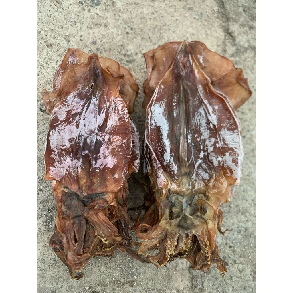 

cumi juhi kering tawar ukuran kecil