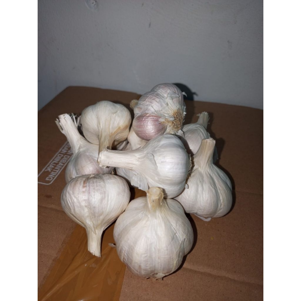 

Bawang Kating Utuh 1 kg