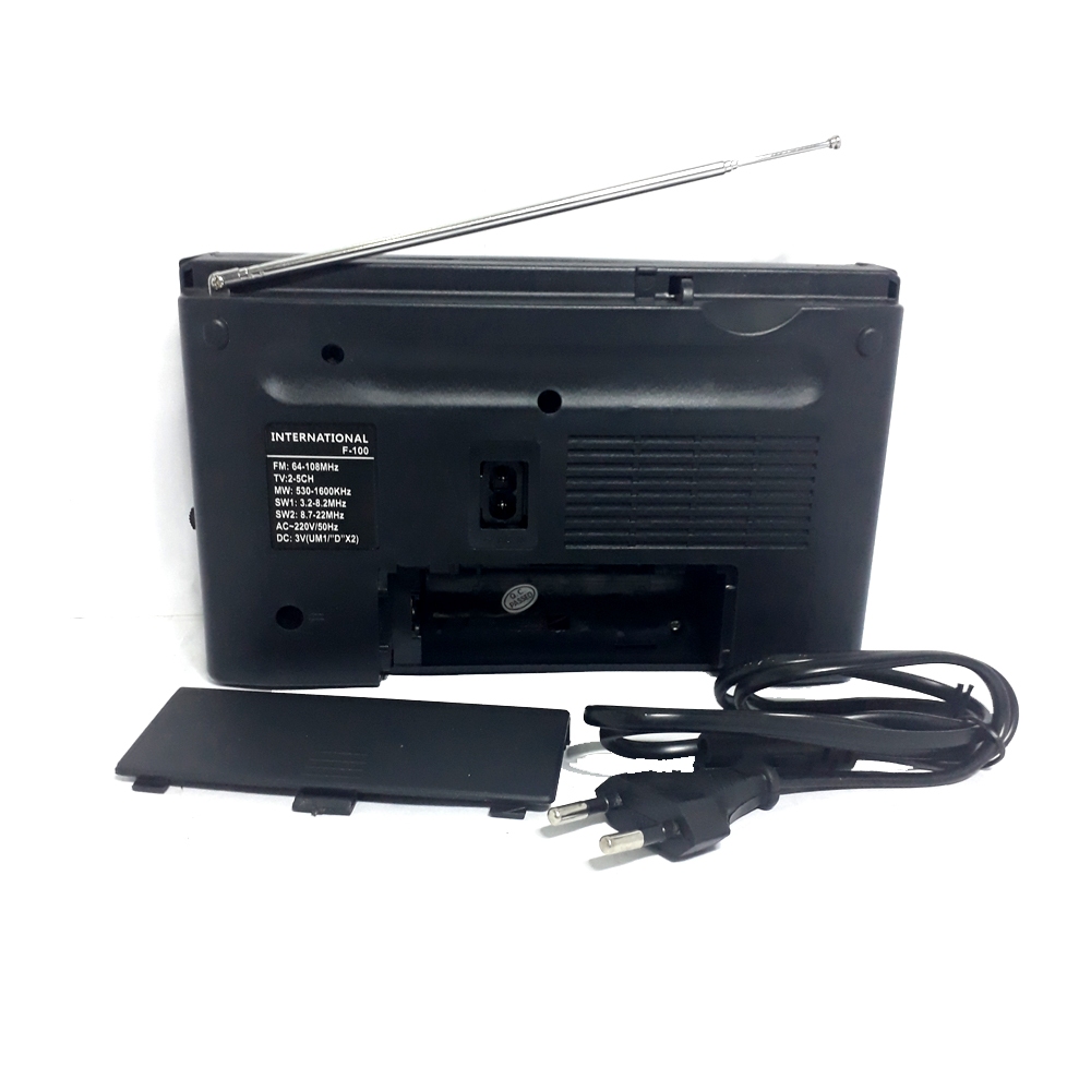 Radio International F 100 Portable AM FM Portable Radio