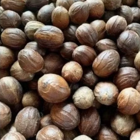 

biji pala kering 500 gr