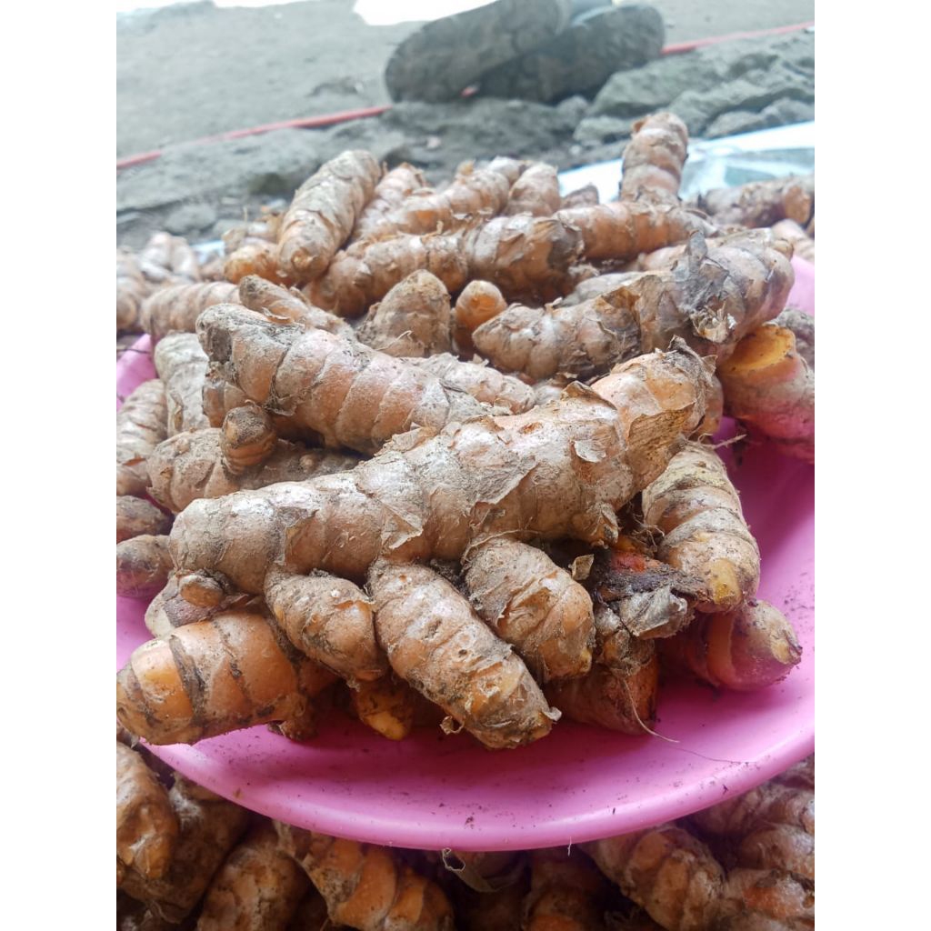 

kunyit Kunir spek SP Grade A+ super segar 500grm