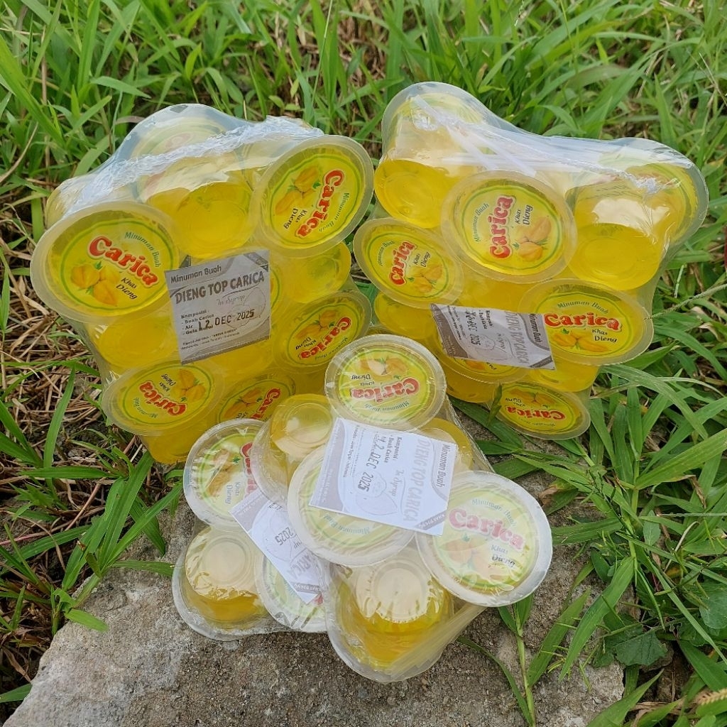 

MINUMAN CARICA KHAS DIENG WONOSOBO 100% GULA MURNI DAN TANPA PENGAWET