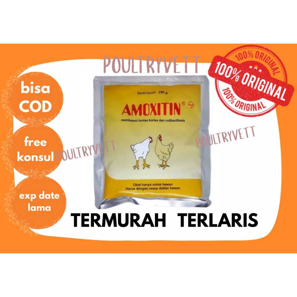 (ANTIBIOTIK AYAM) AMOXITIN 100 GRAM ANTIBIOTIK UNTUK AYAM