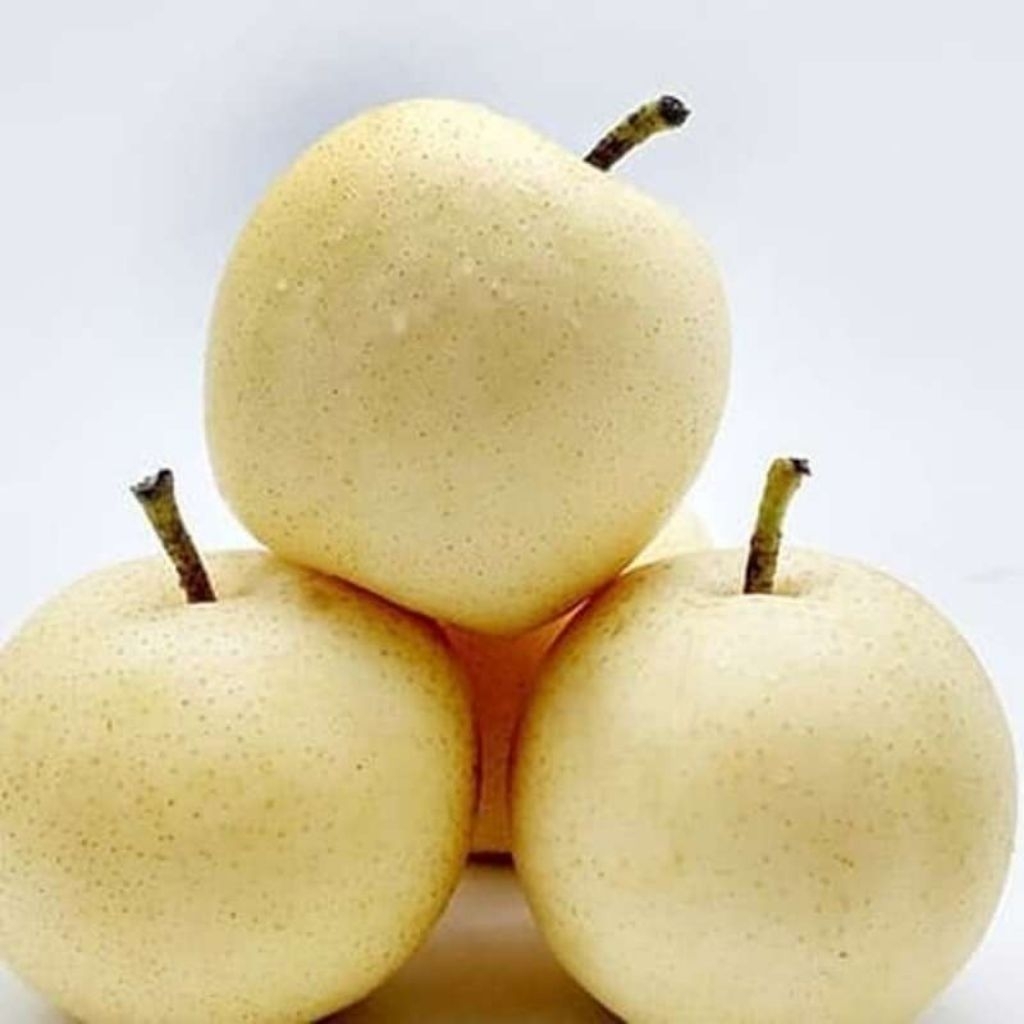 

PEAR CENTURY 250-300G (1 BIJI)