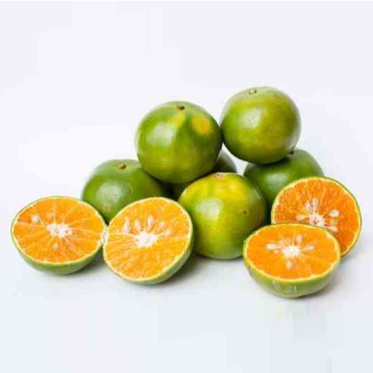 

Jeruk Peras/Jeruk Peras Segar/Jeruk/Peras/Squeezed Orange/1 Kg