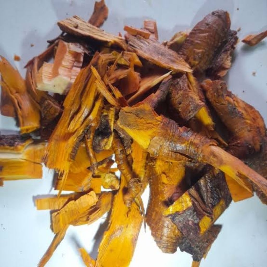 

Akar Pohon Mengkudu Pewarna Alami dan Bahan Jamu 1kg