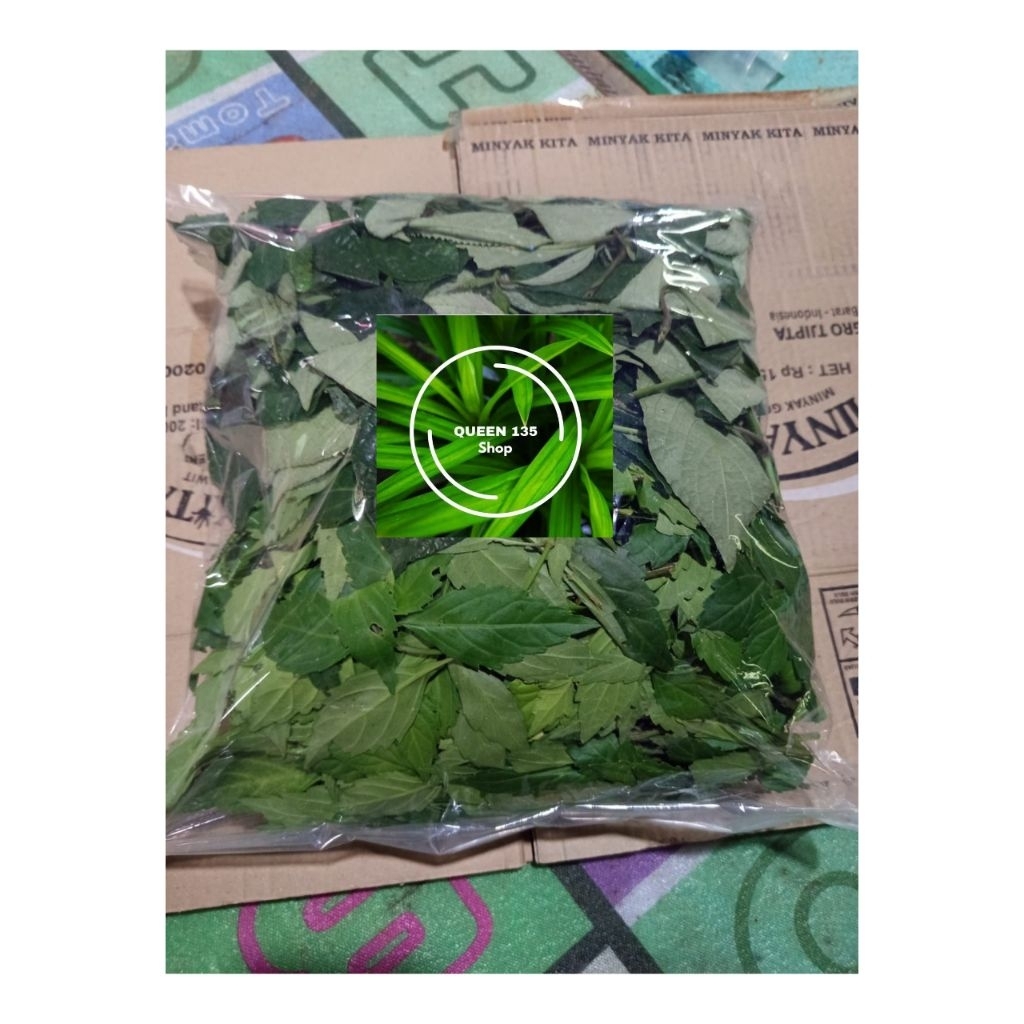 

paket kumpelit daun kejibeling&kumis kucing fresh paket hemat(300,GRM)