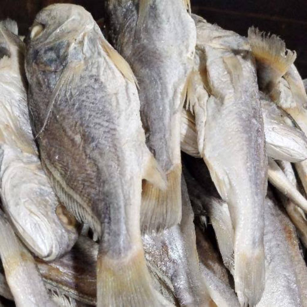 

Ikan Asin Kepala Batu (Seafood Kering)