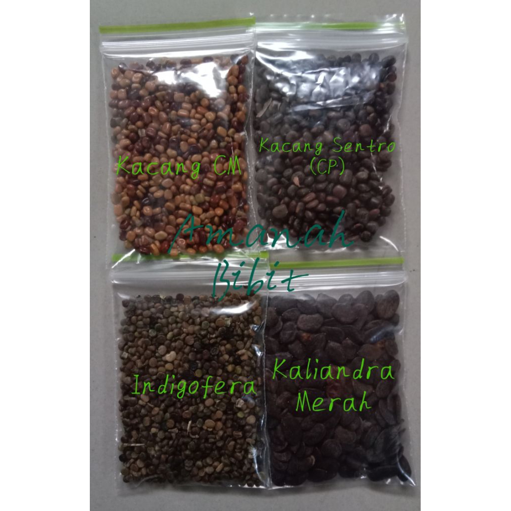 Biji Benih Bibit Indigofera Kaliandra Merah KacangCM KacangsentroCP