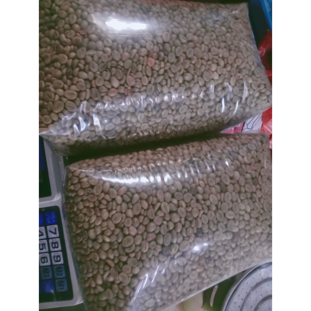 

Green Bean kopi Robusta asli temanggung/langsung dari petani 1kg
