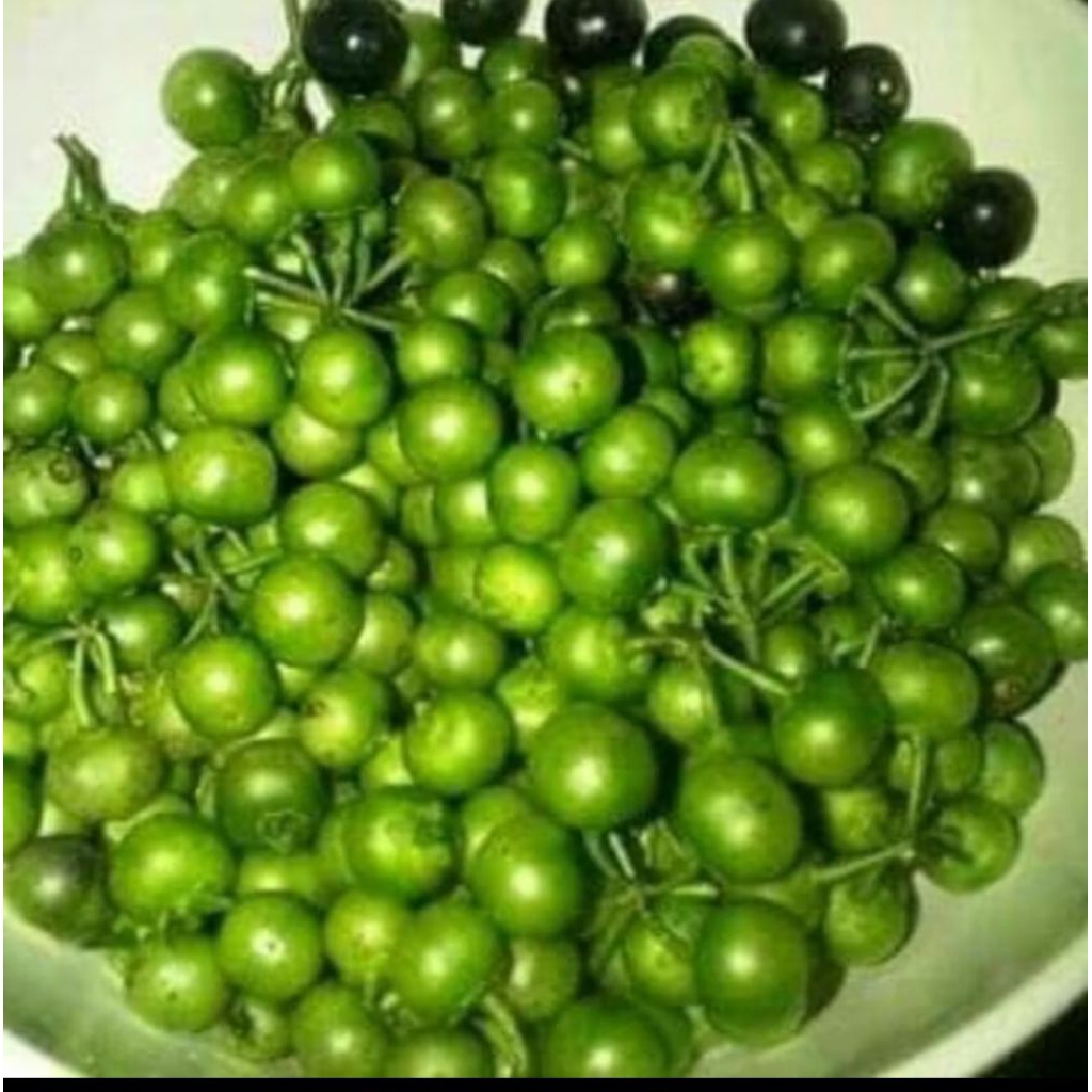 

lenca hijau segar, lenca sayur fresh