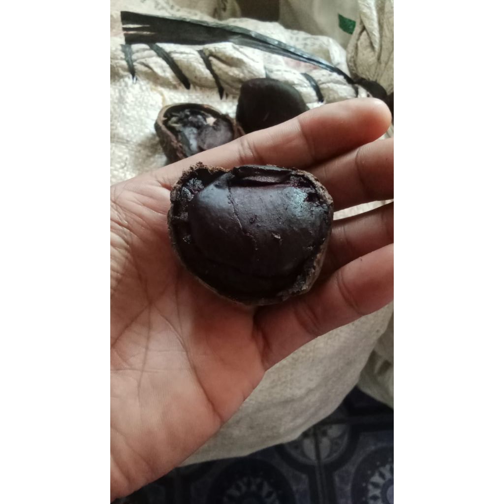 

kulewek/picung kualitas super 1kg