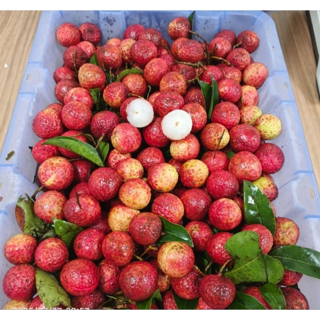 

Buah leci lychee per 1 keranjang 5kg
