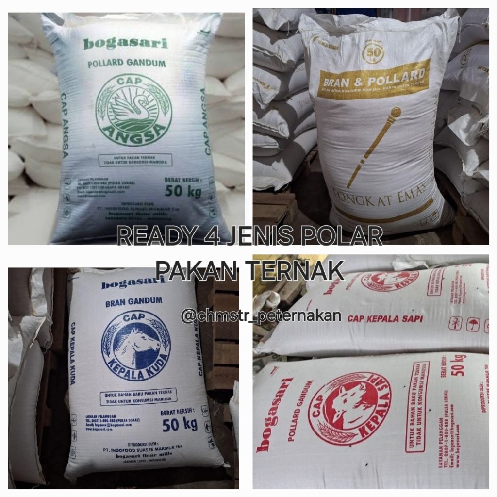 

Polar gandum kemasan 1 kilo