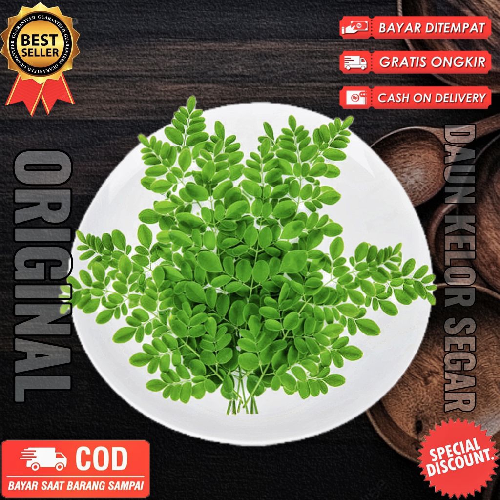 

Daun kelor 500gr segar fresh dipetik dadakan saat dipesan bersih higienis organik