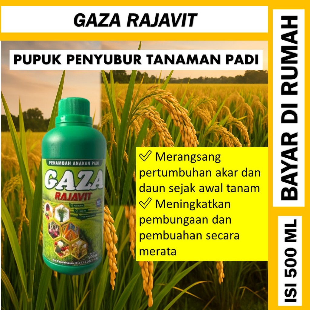 gaza rajavit 500 ML Obat Pengisian Bulir Padi - Obat Bulir Buah Padi - Obat Padi Obat Buah Padi - Ob