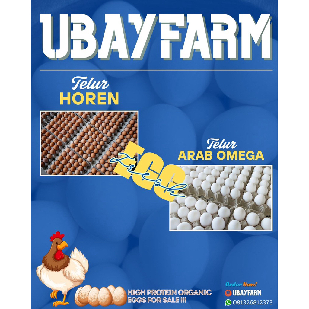

Telur Arab Omega super paket 10 butir