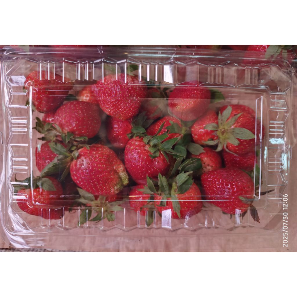 

strawberry lokal jumbo ciwidey