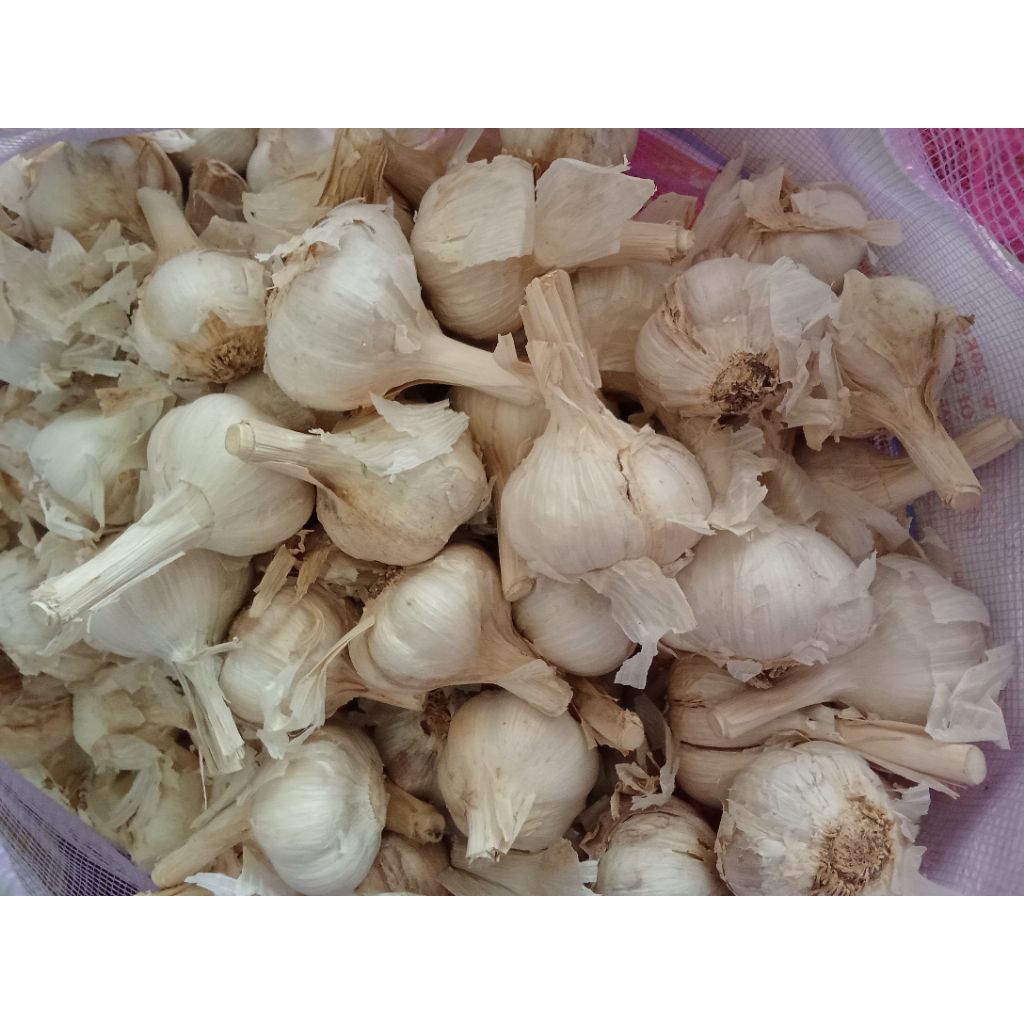 

BAWANG KATING KOTOR 750GR