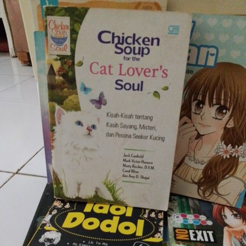 novel jadul Chicken Soup Cat novel preloved