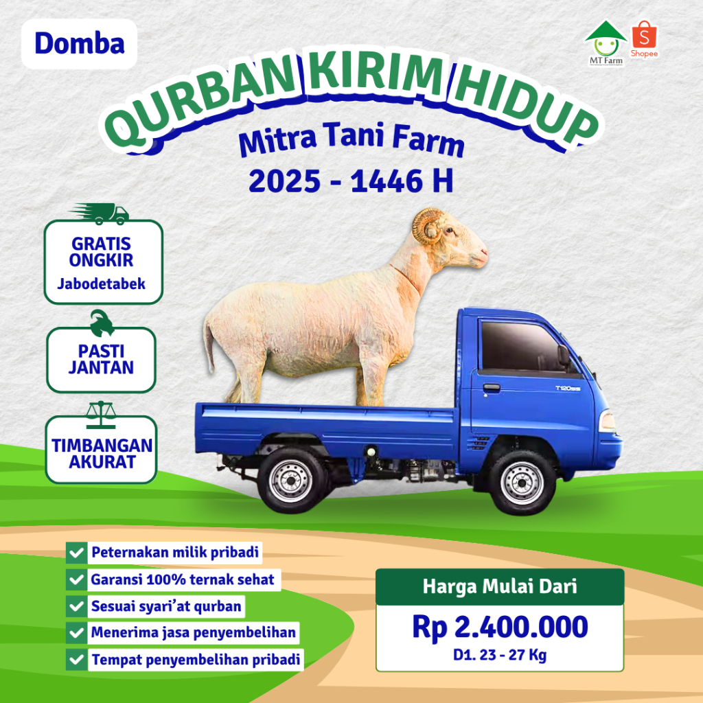Hewan Qurban Domba Qurban Hidup Free Jabodetabek Mt Farm
