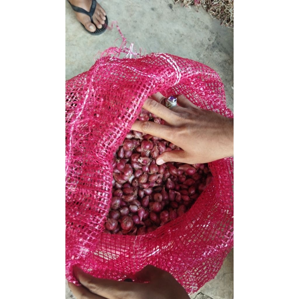 

Bawang Merah Protolan Tanggung 250gr