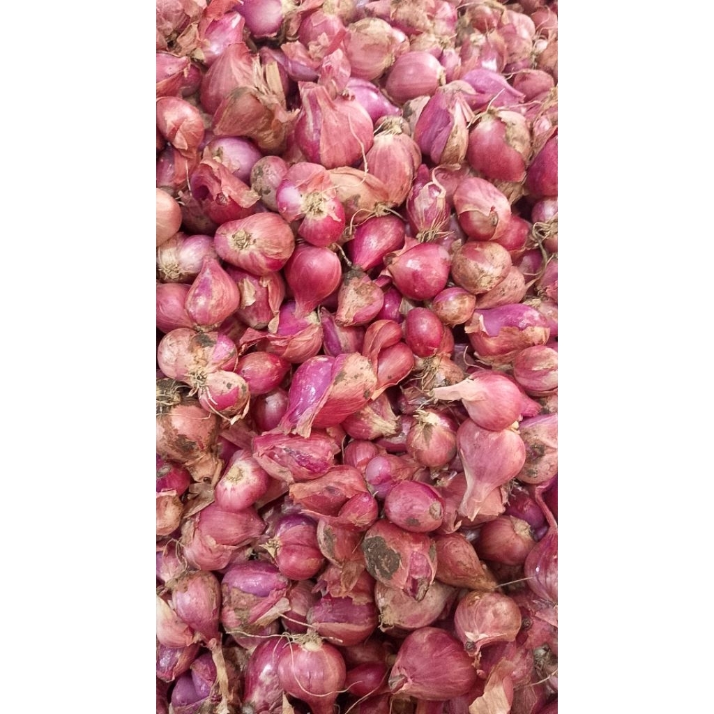 

Bawang merah tanggung sedang B 1000g