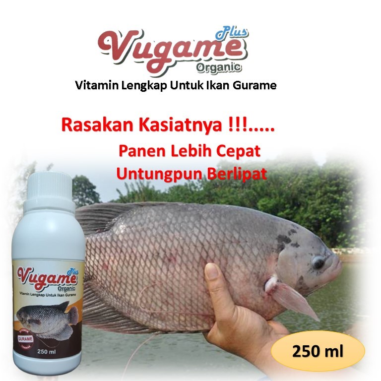 Vitamin gurame / vitamin ikan gurame / booster gurame / vitamin ikan gurame cepat besar
