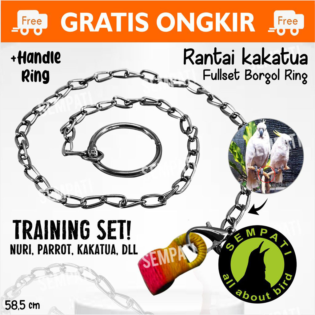 SEMPATI Rantai Borgol Burung Nuri Falk Parkit Parrot Hantu Rantai Kaki Burung Latih Training Burung 