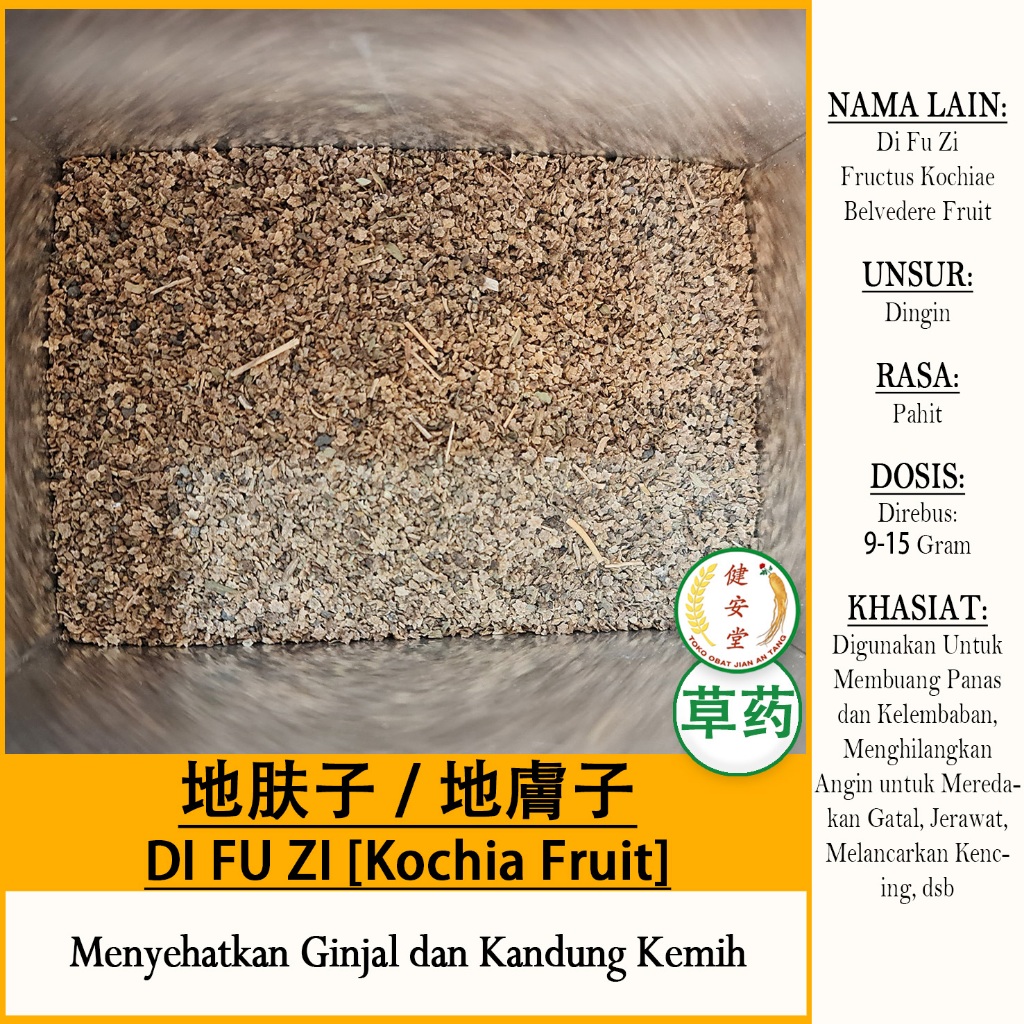 

DI FU ZI - KOCHIA FRUIT - Fructus Kochiae HERBAL TCM Per 100 Gram