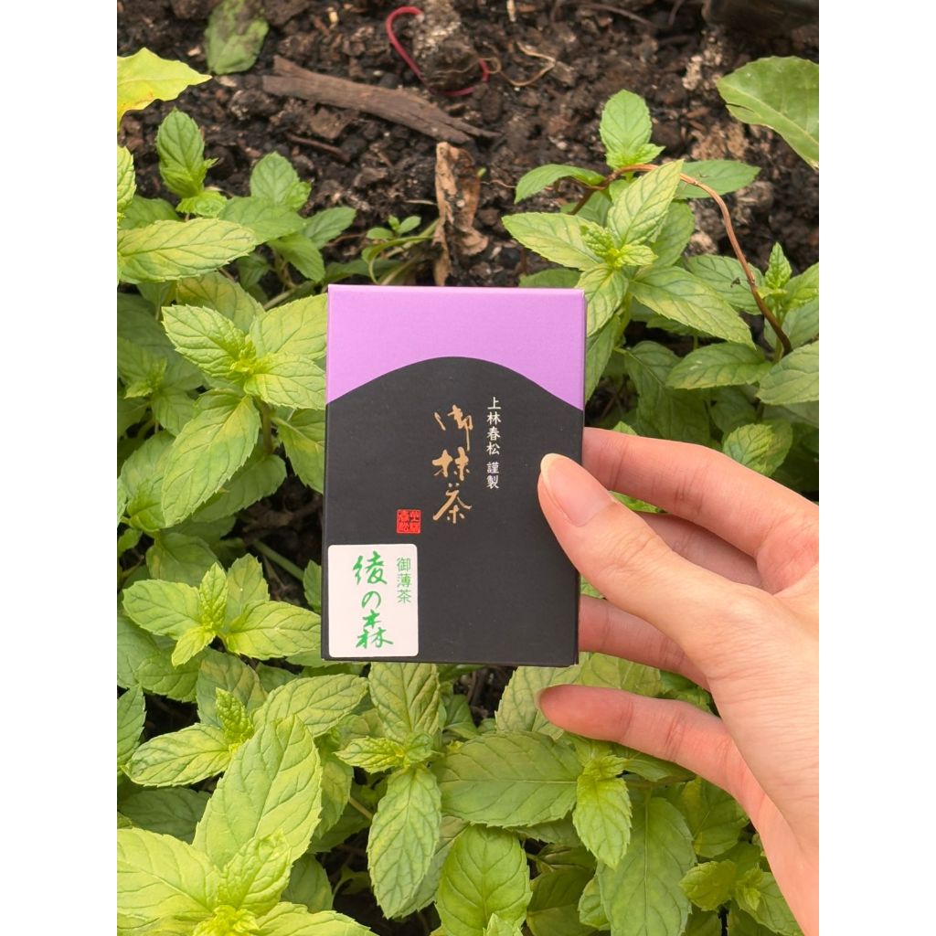 

KANBAYASHI SHUNSHO Matcha Aya no Mori 20gr