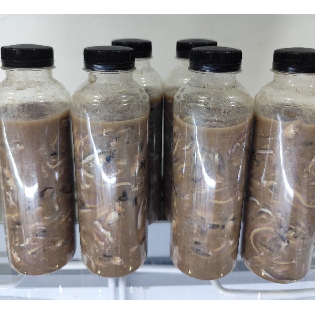 

Rusip Asli Bangka 270gr