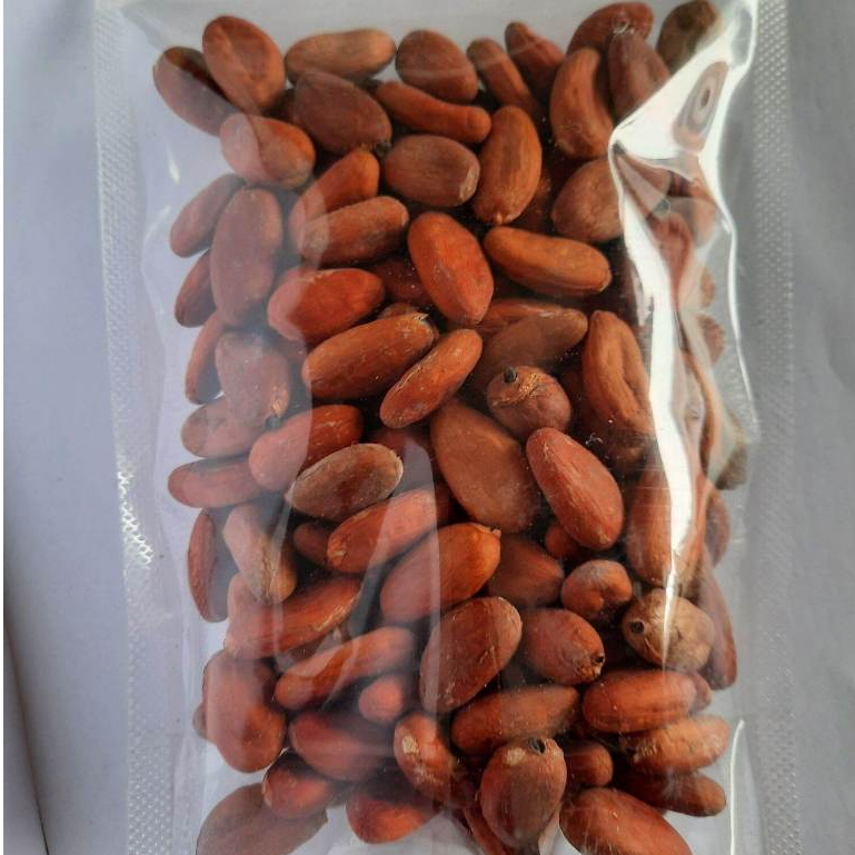 Jual biji coklat / kakao ( kering dan bersih 1 kg )