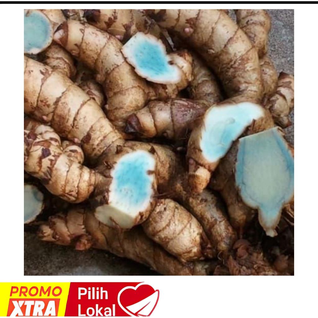 

TEMU HITAM/TEMU IRENG SUPER FRESH 1KG